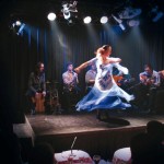 Espectaculo flamenco