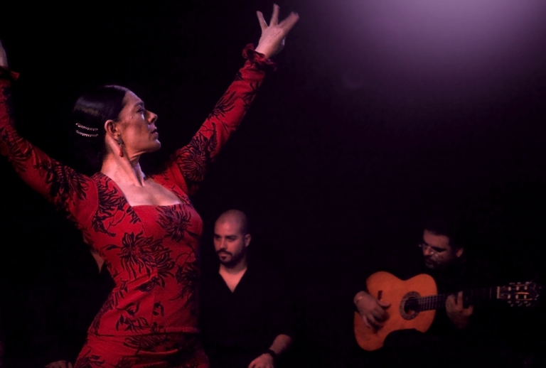 Flamenco en España