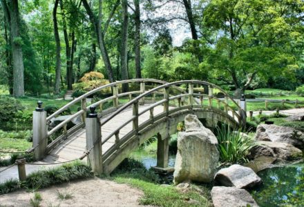 camino-santiago-bridge