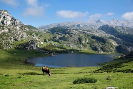 Asturias-montañas